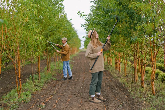 Farm Worker Jobs in Italy